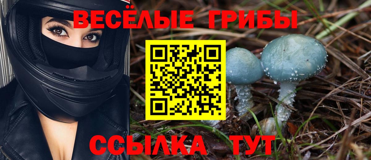 Ефремов  Галлюциногенные грибы MAGIC MUSHROOMS  Галлюциногенные грибы Psilocybine cubensis  Вход с VPN 